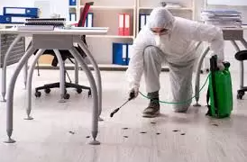 How to Prepare Your Home for Fumigation Services